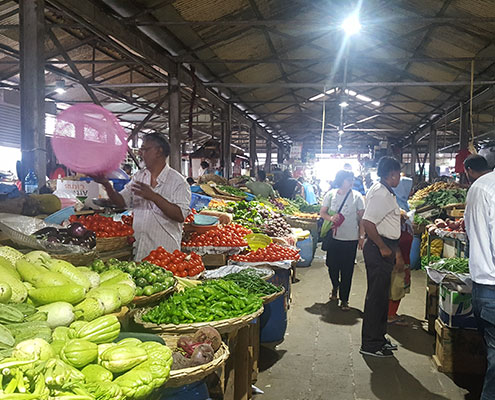 Marchés de Port-Louis et Quatre Bornes